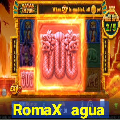 RomaX agua sanitaria fispq agua sanitaria romax